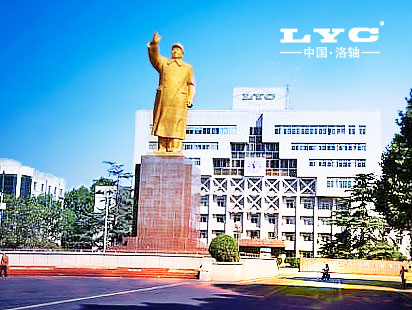 Aufbau und Produktion der Website der Luoyang Bearing Group