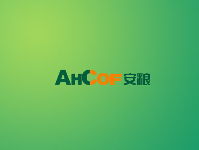 Anhui Anliang Holding Enterprise Website Construction and Production