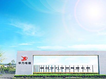 鄭州華力ケーブル企業のウェブサイト建設制作設計
